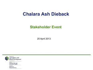 Chalara Stakeholder Event (Microsoft PowerPoint, 1086 Kb)