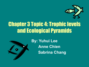 Trophic levels and Ecological Pyramids