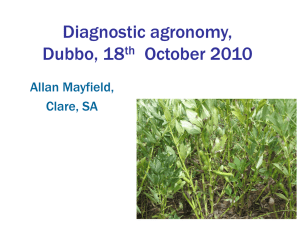 Alan Mayfield – diagnostic agronomy