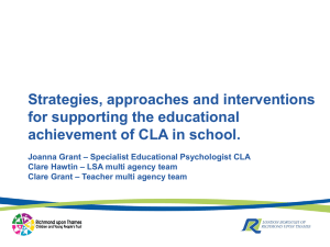 Strategies, approaches and interventions for supporting the