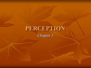 Chapter 3: Consumer Learning: Perception