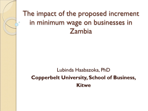 Overview of Zambia`s Labour Market