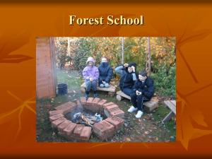 Forest School - Pinhoe Primary School