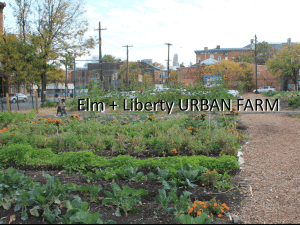 Elm + Liberty URBAN FARM