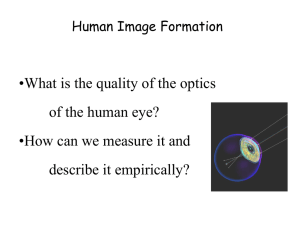 Human Image Formation - Stanford Vision and Imaging Science and