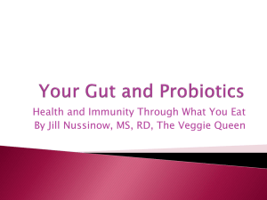 Your Gut and Probiotics Powerpoint Presentation