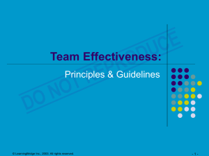 Team Effectiveness: Principles and Guidelines