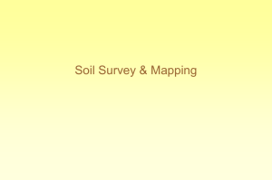 Survey & Mapping
