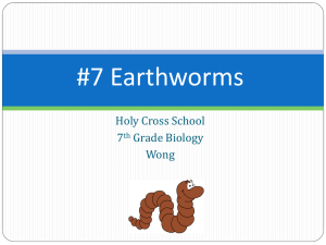 Earthworms - Karen Wong