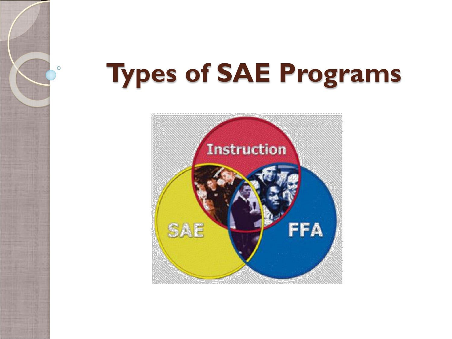 Types Of Sae Programs