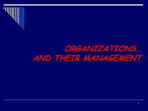ORGANIZATIONS AND THEIR MANAGEMENT