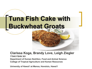 Buckwheat Tuna Patty Presentation