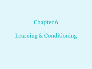Chapter 6: Learning and Conditioning