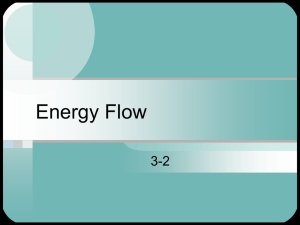PowerPoint Presentation - Energy Flow