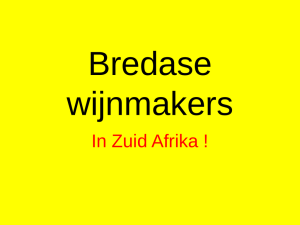 Bredase wijnmakers in SA