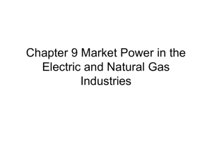 Chapter 9 Market Power in the Electric and Natural Gas Industries