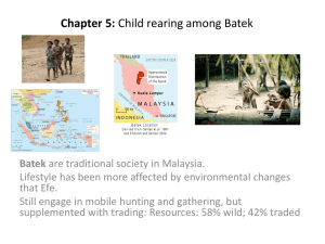 Chapter 5: Child rearing among Batek