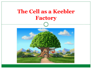The Cell as a Keebler Factory