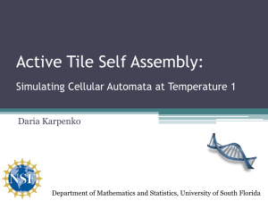 Active Tile Self Assembly - USF Math-Bio Lab