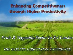 Mr. Rizvi Zaheed – Fruit and Vegetable Sector
