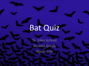 PowerPoint Presentation - Bat Quiz