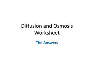 Diffusion and Osmosis Worksheet Answers