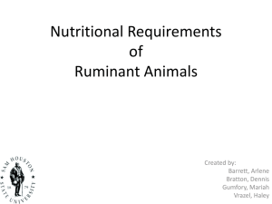 Nutritional Requirements of Ruminants