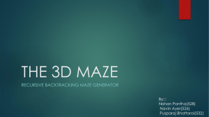 THE 3D MAZE
