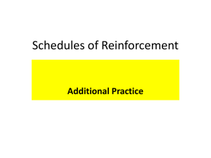 Schedules of Reinforcement Additional Prac