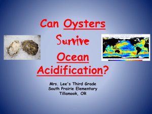 Oyster Acidification PPT