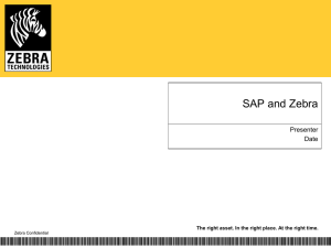 SAP and Zebra - Zebra Software