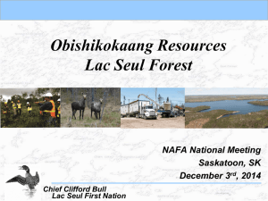 Obishikokaang Resources Lac Seul Forest