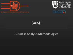 BAM! Business Analysis Methodologies