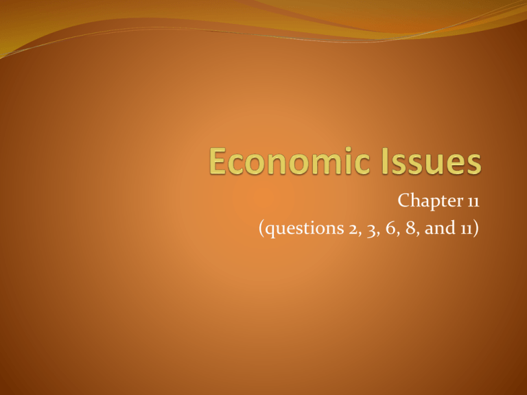 economic-issues-chapter-11