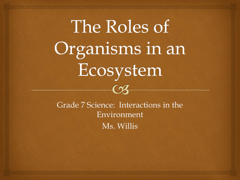 What Are The Three Roles Of Organisms In An Ecosystem