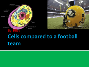 Cells compared to a football team