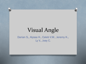 Visual Angle - Employees Csbsju