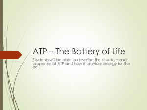 ATP * The Battery of Life