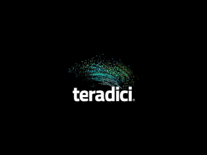 Teradici PCoIP Hardware Accelerator Overview