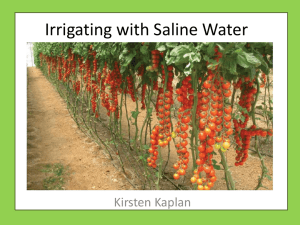 Irrigating with Saline Water