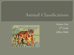 Animal Classifications PowerPoint – Jeffrey Miele