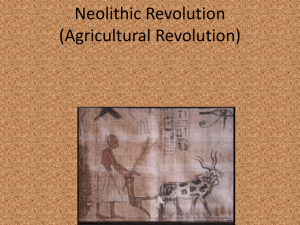 Neolithic Revolution (Agricultural Revolution)