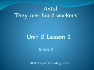 Ants are Hard Workers Powerpoint