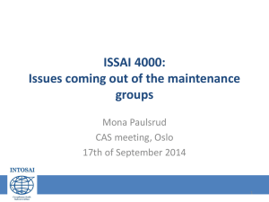 ISSAI 4000: Issues coming out of the maintenance Groups
