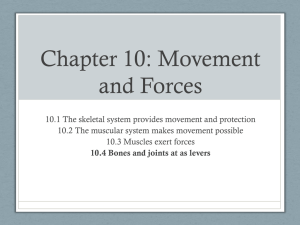 Chapter 10: Movement and Forces - Westerly School Middle School