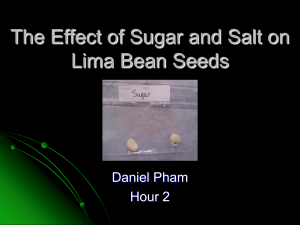 The Effect of Sugar and Salt on Lima Bean Seeds - SMS-HB09