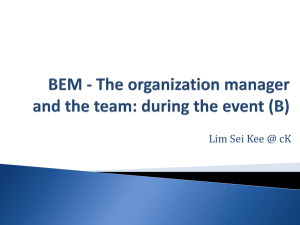 BEM – The organization manager and the team_