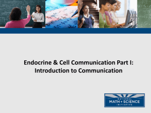01 Endocrine and Cell Communication Introduction PPT
