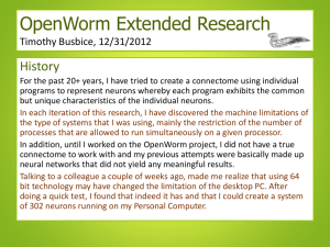 OpenWorm Extended Research