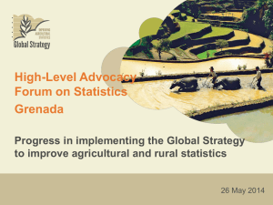 Global Strategy to Improve Agricultural and Rural Statistics